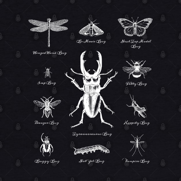 Bugs Beetles Insects by Bumblebeast